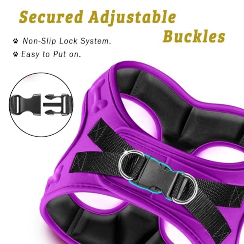 Comfort fit Step (XS (Chest 13"-14.5") / Purple)