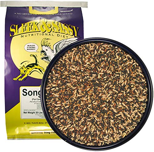 Song Bird Treat for Finches and Canaries (20 Pound (Pack of 1))