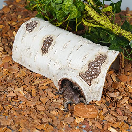 Reptile Hide Caves Simulation Tree Hideout Snake Hide