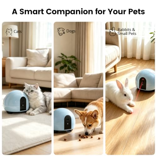 Pet Camera Robot with Treat Dispenser & Laser (Blue)