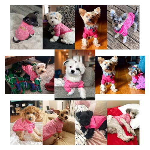 Dog Sweaters for Small Dogs (Rose red / XX-Small)