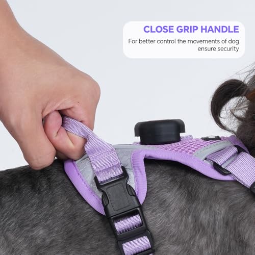 Cat Harness and Leash Set with AirTag Holder (Purple (Holder for Airtag) / M)