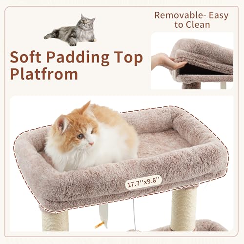 55.1'' Cat Tree Tower for Indoor Cats (55.1 inch / Muchroom)