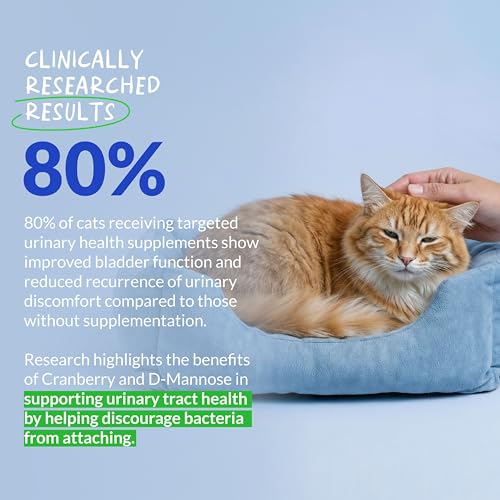 Cranberry Supplement for Cat UTI Treatment & Bladder Support with D