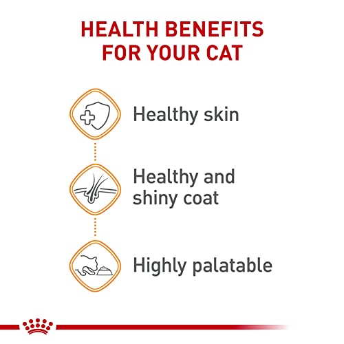 Feline Care Nutrition Hair & Skin Care Adult Loaf in Sauce Cat Food (5.1 Ounce (Pack of 24))