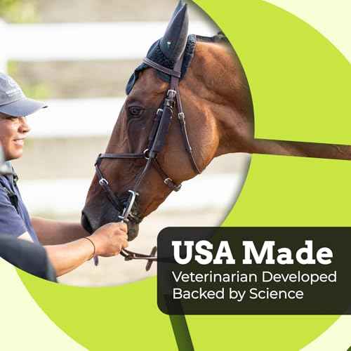 SynChill Horse Calming Supplement Gel (10-Pack)