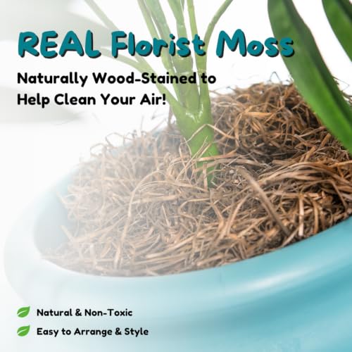 Original Hidden Litter Box Planter (Broad Leaf Philodendron / Base Kit / Coastal Blue)