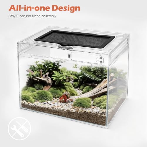 Reptile Tank Starter Kit (Small(12*9*7IN))