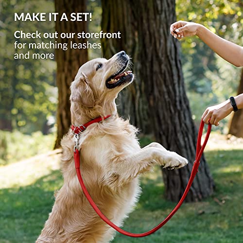Tangle Free Rolled Leather Dog Collar (Red / XXL)