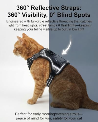 Escape Proof Cat Harness and Leash Set (Black / S)