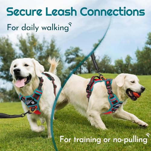 Dog Harness No Pull for Large Dogs (Large / Red & Teal)