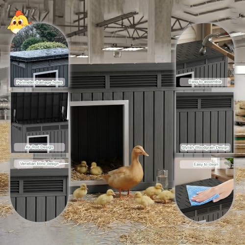 Duck Coop with Hydraulic Air Rod (Classic Black / 32.2"L x 25.1"W x 24.1"H)