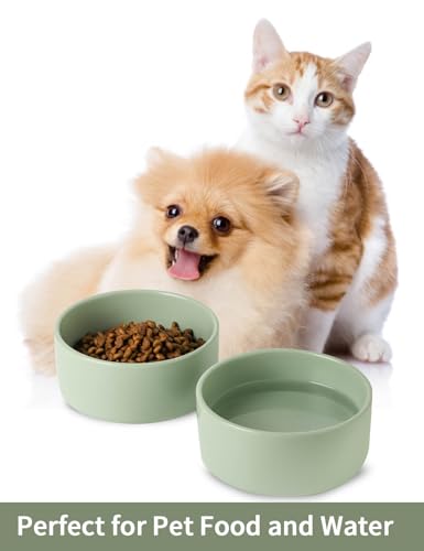 Ceramic Dog Bowl Set of 2 (5 inch x 2 / Sage Green)