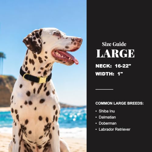 Soft Padded Dog Collar for Large Dogs (Black / L：Fit 16-22" Neck, Width 1")