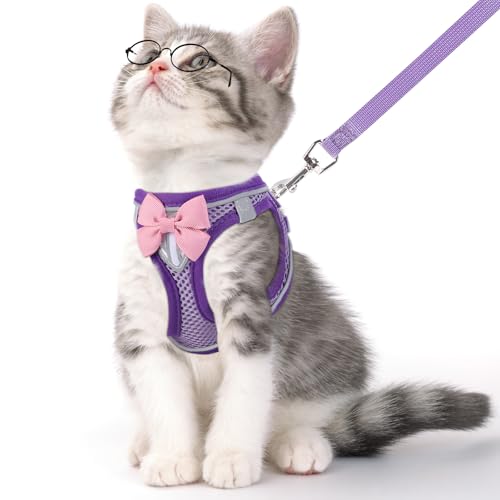 Cat Harness and Leash Set (Purple / XS)