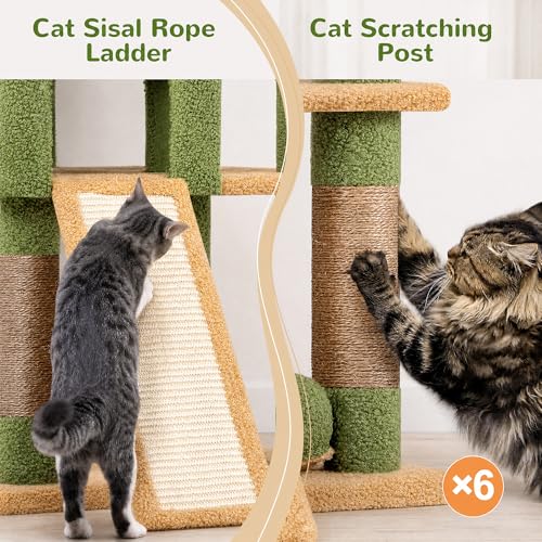 S72 Heavy Duty Cactus Cat Trees for Large Cats 20 lbs+ (Cactus / 72 inch)
