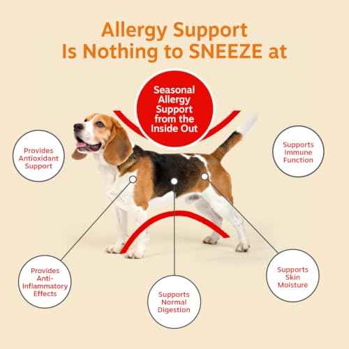 AE Dog Allergy Chews (90 Count (Pack of 1) - Standard)