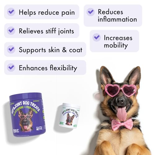 Hemp Hip & Joint Supplement for Dogs Soft Chews Made in USA Functional Glucosamine for Dogs Chondroitin MSM Turmeric Hemp Seed Oil Natural Pain Relief Mobility Advanced Joint 120 Treats (Hip&Joint / 120)