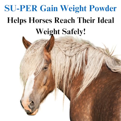 Gain Weight Supplement for Horses (10 lbs)