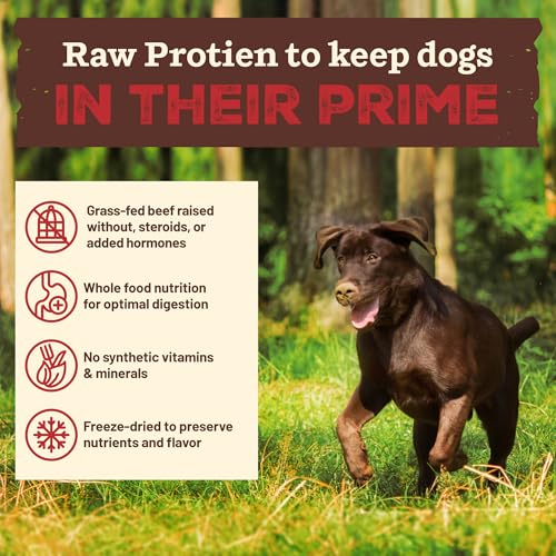 Primal Kibble in The Raw (9 Pound (Pack of 1))