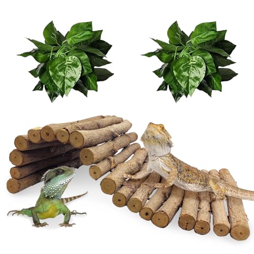 11.8 x 6.7 Inches Wooden Reptile Hideout Bearded Dragon Bendy Bridge Climbing Ladder Hiding Hut Reptiles Hide Cave Habitat Decor for Lizards Gecko Spiders Snakes Tortoise