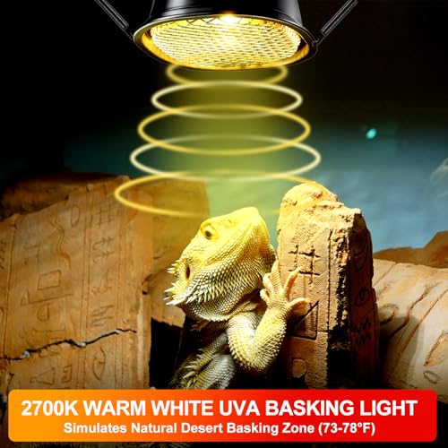 G9 Reptile Heat Lamp Bulb & Reptile Light Fixture with Safety Mesh Kit