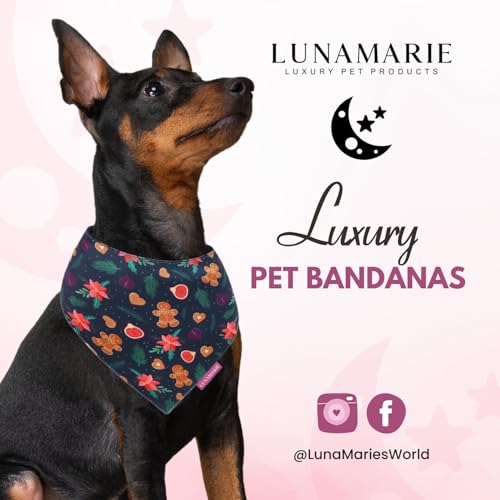 Luxury Pet Birthday Bandanas (Gingerbread & Figs / Large)