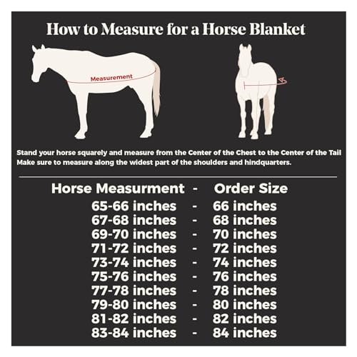 Dura Nylon Horse Stable Sheets (Horse Size 76 / V-Free | Open Front | Legstrap / Navy)