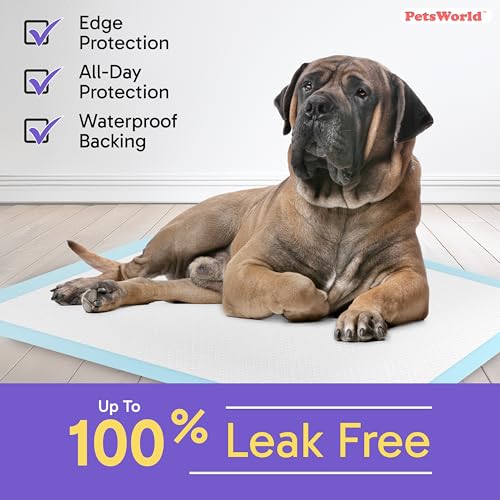 Giant Dog Potty Pads (36x36 Unscented / 25 Count)