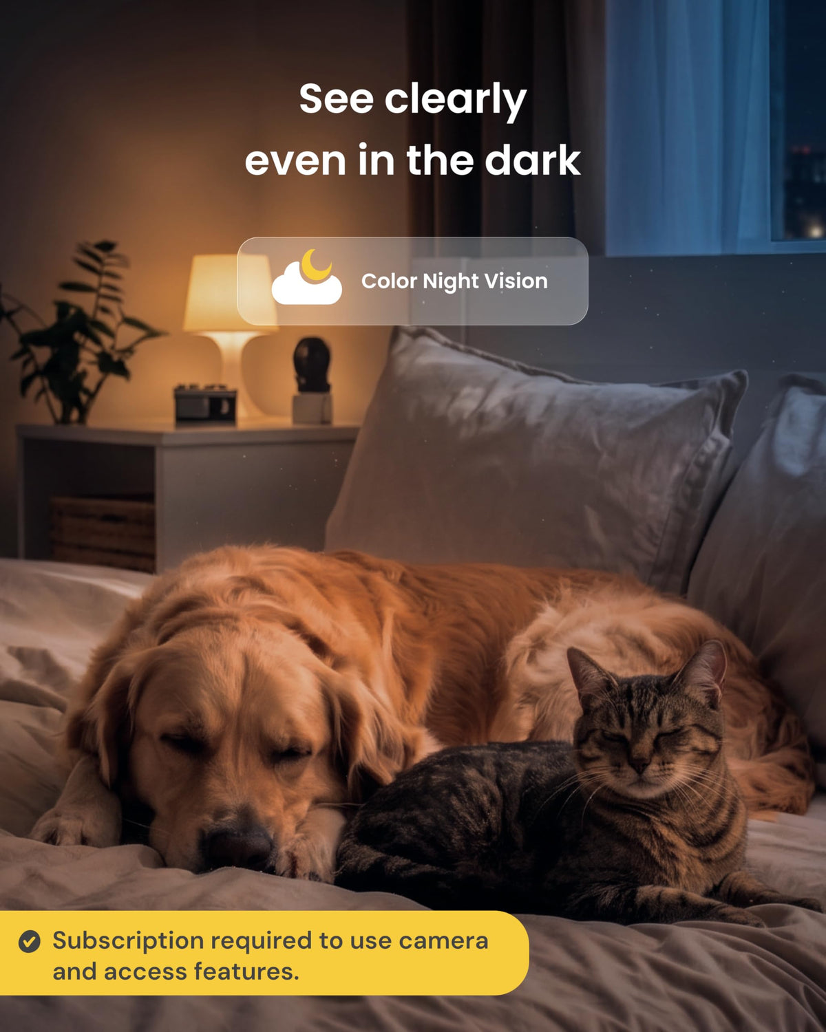 Mini 360° Pet Camera [Paid Plan Required to Activate] (Mini 360° Camera / Subscription Required to Activate)