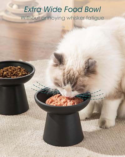 2 Pack Elevated Cat Food Bowls (Black)