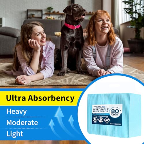 Puppy Pee Pads 22" x 22" 80 Pack