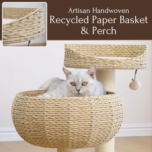 Modern Small Cat Tree with 2 Cat Beds (Beige Brown)