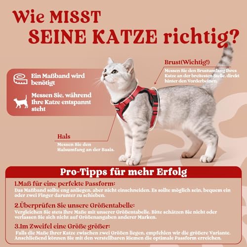 Cat Harness and Leash Set (Xxs / Red)