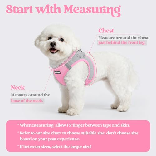 Dog Harness Small Sized and Leash Set (Light Pink & Gray / Xs (chest: 13.3 - 15.5"))