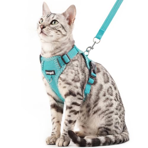 Cat Harness and Leash Set (Turquoise / X-Large)