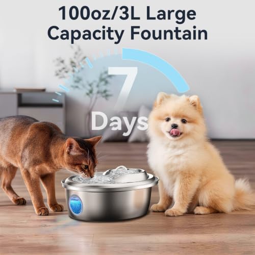 Stainless Steel Cat Water Fountain