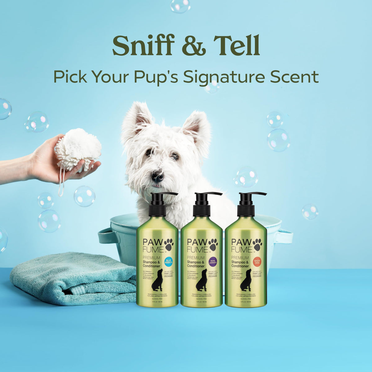 PAWFUME Dog Shampoo and Conditioner (Shampoo & Conditioner Blue Ribbon / Pack of 1)