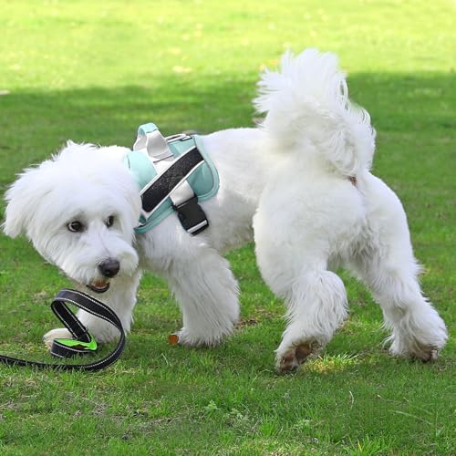 Dog Harness No (X-Small (Pack of 1) / BabyBlue)