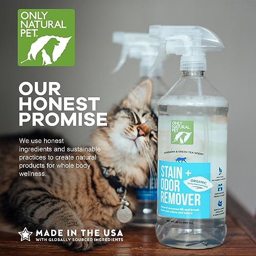 Stain & Odor Remover (32oz (Pack of 1))