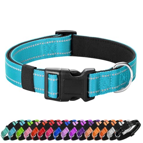 Reflective Dog Collar (Sky Blue / M:width 3/4"neck 14-20.5")