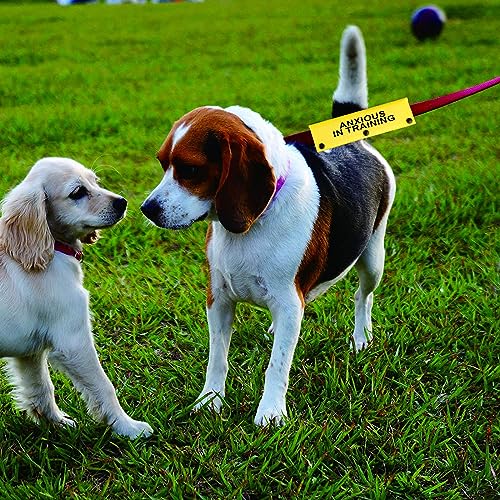Funny Dog Leash Sleeve Have Anxious In Training Dog Leash Wrap Sleeve Pet Birthday Gift (Anxious In Training-YE Sleeve)