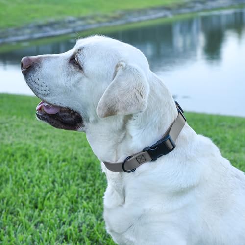 Biothane Waterproof Dog Collar with Quick Release Buckle Strong Coated Nylon Webbing with Odor (5/8"W by 10-14"L / Battleship Gray)