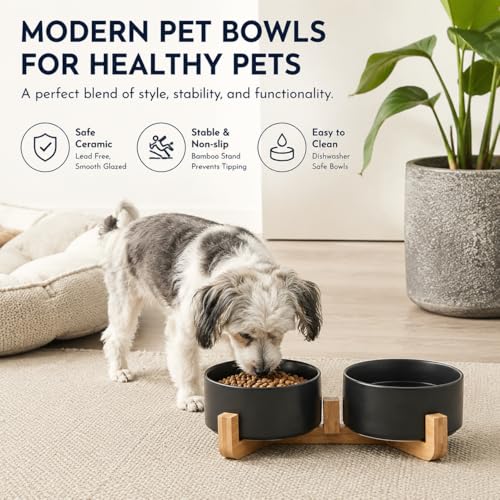 Ceramic Dog Cat Bowls Set with Stand (Black / 400ML*2)