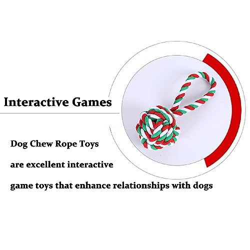 Dog Chew Toys