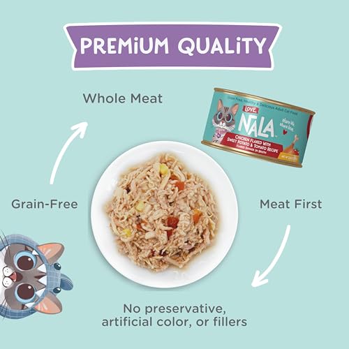 Natural Adult Cat Wet Food