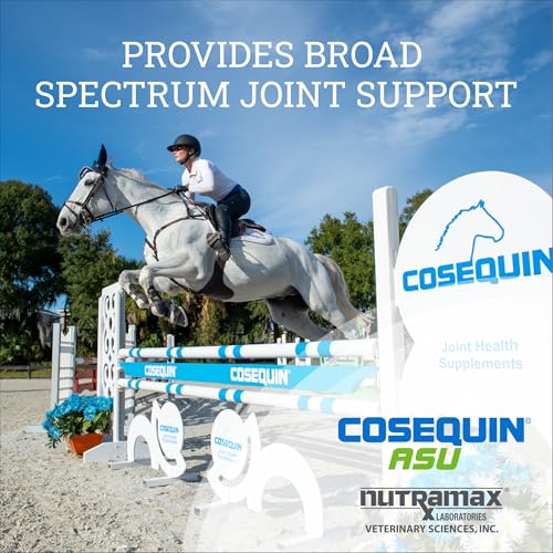 Nutramax Cosequin ASU Joint Health Supplement for Horses (Powder / 500 g)