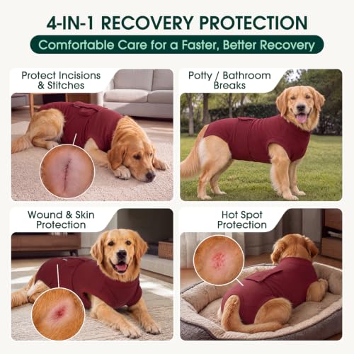 Recovery Suit for Dogs Cats (X-small (Back:8.3-11.4'', Weight:4-7 Lb) / Burgundy Solid)