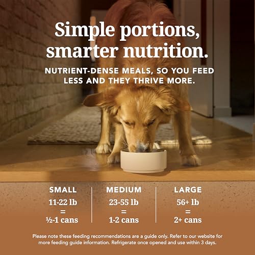 Canned High Protein Grain (13 Ounce (Pack of 12))