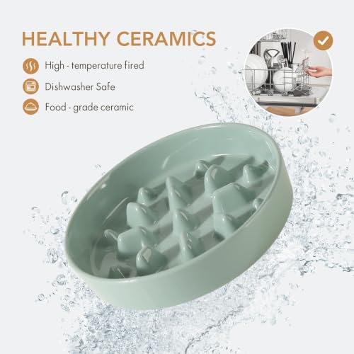 Ceramic Slow Feeder Dog Bowls (Light Green)